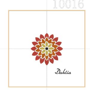 Dahlia